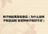 柿子树的寓意和象征（为什么说柿子树是凶树 家里种柿子树好不好）