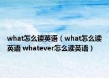 what怎么读英语（what怎么读英语 whatever怎么读英语）