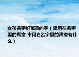 女孩名字好寓意的字（聿用在名字里的寓意 聿用在名字里的寓意有什么）