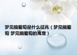 梦见摘葡萄是什么征兆（梦见摘葡萄 梦见摘葡萄的寓意）