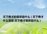 天下奇才的意思是什么（天下奇才什么意思 天下奇才意思是什么）