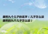 康熙九个儿子的名字（儿子怎么读 康熙的九个儿子怎么读）