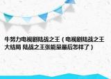牛努力电视剧陆战之王（电视剧陆战之王大结局 陆战之王张能量最后怎样了）