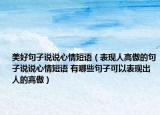 美好句子说说心情短语（表现人高傲的句子说说心情短语 有哪些句子可以表现出人的高傲）