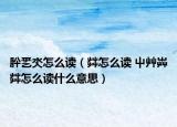 肸乯氼怎么读（茻怎么读 屮艸芔茻怎么读什么意思）