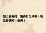 朝三暮四打一生肖什么动物（朝三暮四打一生肖）
