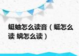 蜓蚰怎么读音（蜓怎么读 螭怎么读）