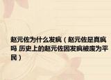 赵元佐为什么发疯（赵元佐是真疯吗 历史上的赵元佐因发疯被废为平民）