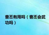曹丕有用吗（曹丕会武功吗）