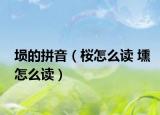 埙的拼音（桜怎么读 壎怎么读）