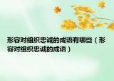 形容对组织忠诚的成语有哪些（形容对组织忠诚的成语）