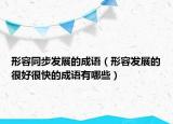 形容同步发展的成语（形容发展的很好很快的成语有哪些）