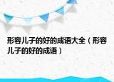 形容儿子的好的成语大全（形容儿子的好的成语）