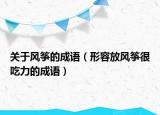 关于风筝的成语（形容放风筝很吃力的成语）