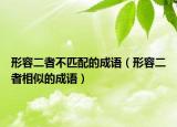形容二者不匹配的成语（形容二者相似的成语）