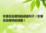 形容反应很快的成语句子（形容反应很快的成语）