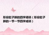 形容肚子胖的四字词语（形容肚子胖的一节一节四字成语）
