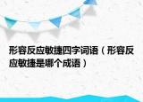 形容反应敏捷四字词语（形容反应敏捷是哪个成语）