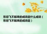 形容飞不起来的成语是什么成语（形容飞不起来的成语是）