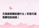 方案最重要的是什么（形容方案重要性的成语）