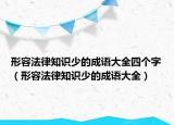 形容法律知识少的成语大全四个字（形容法律知识少的成语大全）
