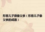 形容儿子很像父亲（形容儿子像父亲的成语）