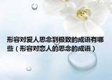形容对爱人思念到极致的成语有哪些（形容对恋人的思念的成语）