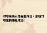 对母亲表示感恩的成语（形容对母亲的感恩成语）