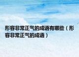 形容非常正气的成语有哪些（形容非常正气的成语）