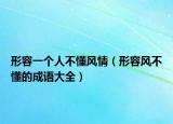 形容一个人不懂风情（形容风不懂的成语大全）