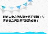 形容夫妻之间和谐关系的词语（形容夫妻之间关系和谐的成语）