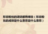 形容粉丝的词语都有哪些（形容粉丝的成语是什么意思是什么意思）