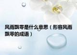 风雨飘零是什么意思（形容风雨飘零的成语）