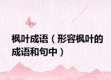 枫叶成语（形容枫叶的成语和句中）