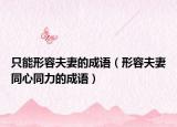 只能形容夫妻的成语（形容夫妻同心同力的成语）