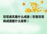 非常真实是什么成语（形容非常真成语是什么意思）
