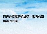 形容分离痛苦的成语（形容分别痛苦的成语）