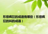形容疯狂的成语有哪些（形容疯狂的叫的成语）