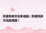 形容风俗文化多成语（形容风俗文化的成语）