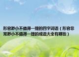 形容渺小不值得一提的四字词语（形容非常渺小不值得一提的成语大全有哪些）