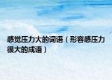感觉压力大的词语（形容感压力很大的成语）