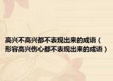 高兴不高兴都不表现出来的成语（形容高兴伤心都不表现出来的成语）