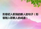 形容初入职场的新人的句子（形容刚入职新人的成语）