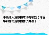 不能让人满意的成语有哪些（形容感到非常满意的样子成语）