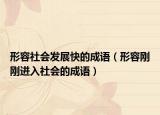 形容社会发展快的成语（形容刚刚进入社会的成语）