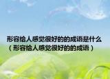 形容给人感觉很好的的成语是什么（形容给人感觉很好的的成语）