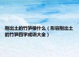 刚出土的竹笋像什么（形容刚出土的竹笋四字成语大全）