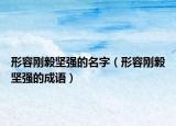 形容刚毅坚强的名字（形容刚毅坚强的成语）