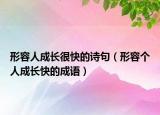 形容人成长很快的诗句（形容个人成长快的成语）