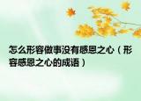 怎么形容做事没有感恩之心（形容感恩之心的成语）
